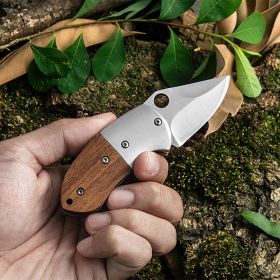 Mini Folding Pocket Knift