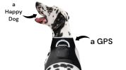 Rechargeable Mini GPS Realtime Pet Tracking Collars for Hunting Dogs