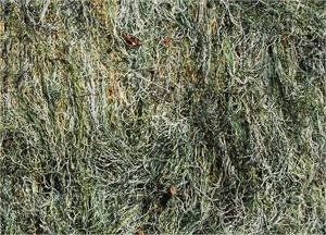 Cover / Veils 2' x 3'| Jute (or) Synthetic Model| Synthetic Ultra light (Options: Woodland)