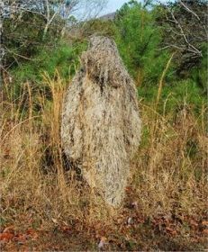 Ghillie Poncho - Synthetic Ultra light (Options: Desert)