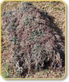 Ghillie Blanket cover 4' x 6' (Options: Mossy)