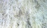 Ultra light Ghillie Blanket 5' x 9'