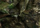 Titan 3D Leafy Suit in Mossy Oak Patterns
