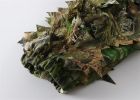 Titan 3D Leafy Suit in Mossy Oak Patterns