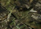 Titan 3D Leafy Suit in Mossy Oak Patterns