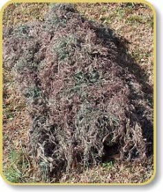 Ghillie Blanket cover 4' x 6' (Options: Leafy Green)