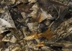 Titan 3D Outfitter Series Leafy suit, Mossy Oak & Realtree| Pattern| Mossy Oak Country DNA